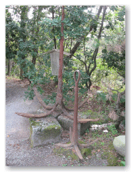 親子錨