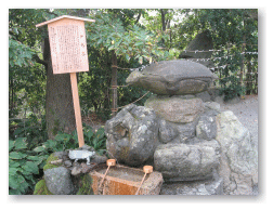 神亀石