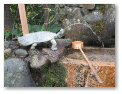 亀の口から水が出ています。