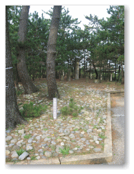 安宅の関址です。