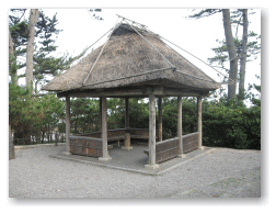 ここから日本海を見下ろせます。