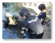 魚がいるらしいが。。。。
