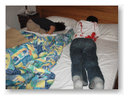 子供たちも、すぐに寝てしまう。