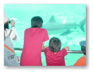 水族館へ入ってみた。