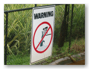 WARNING クロコダイルに注意