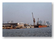 上海の港