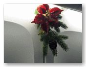 窓の上にクリスマスぽい飾りがされている。まだ、シーズンなの?