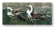 ペンギン