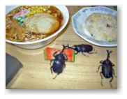 ラーメン。スイカ。カブト虫はオモチャ。