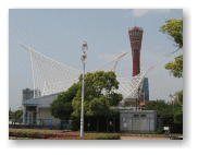 神戸ポートタワーと神戸海洋博物館