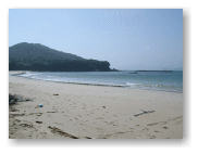 伊勢の海岸です。