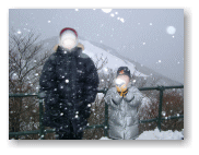 雪が舞っています。