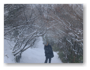 雪の林の中