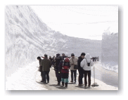 左側が歩道です。