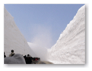 何だ?雪煙が立っているぞ。