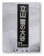 立山雪の大谷